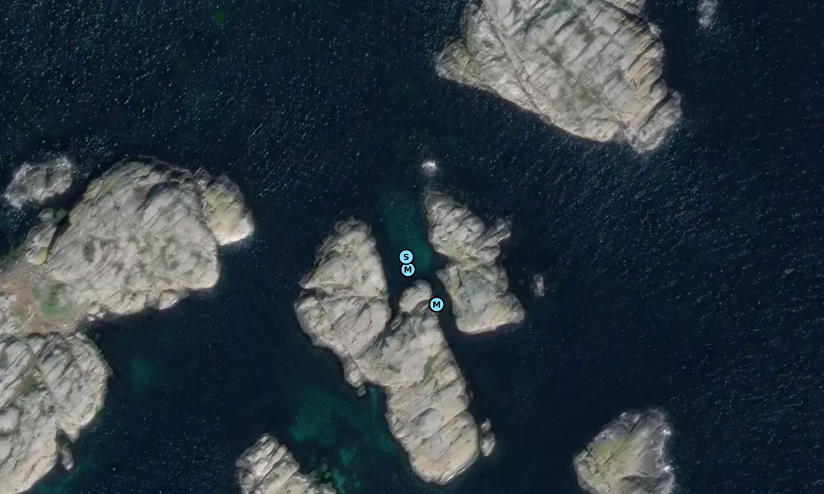 Satelite image of Stora och Lilla Gåsö - Väderöarna