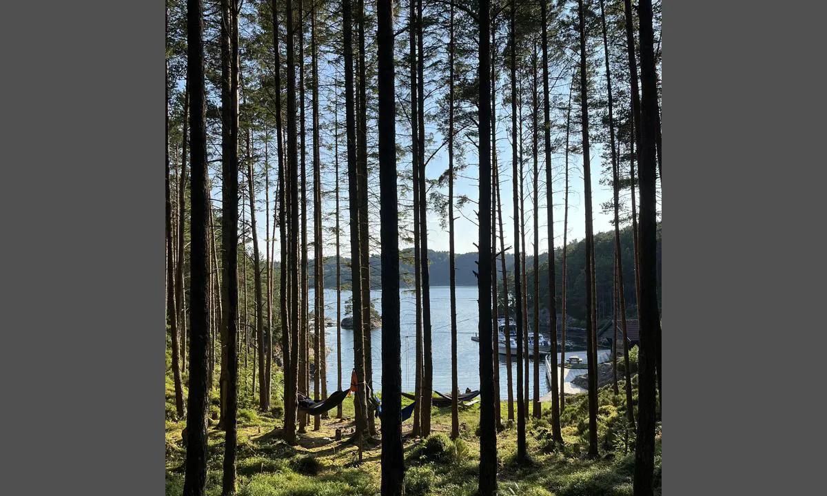 Store Ulvesøya: {"base": "no", "no": "Fin plass til \u00e5 sove ute i hengek\u00f8y", "se": "Bra plats att sova utomhus i h\u00e4ngmatta", "en": "Good place to sleep outside in a hammock", "da": "Fin plads til at sove ude i h\u00e6ngek\u00f8je"}
