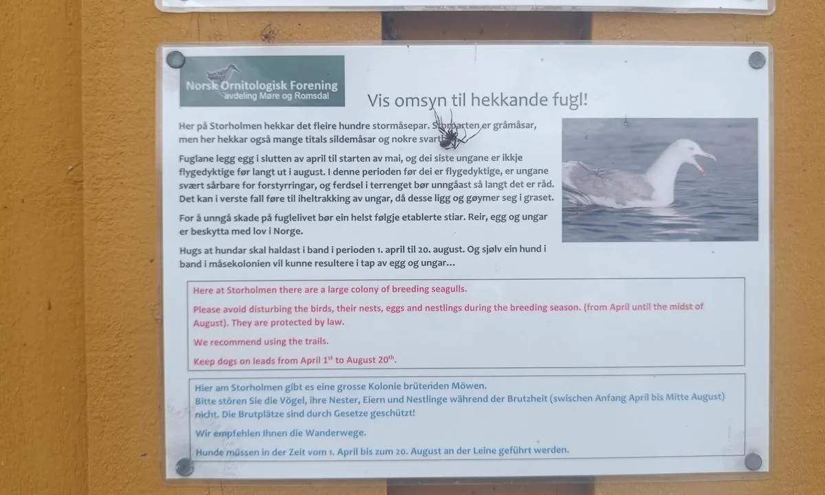 Storholmen - Bringsinghaug