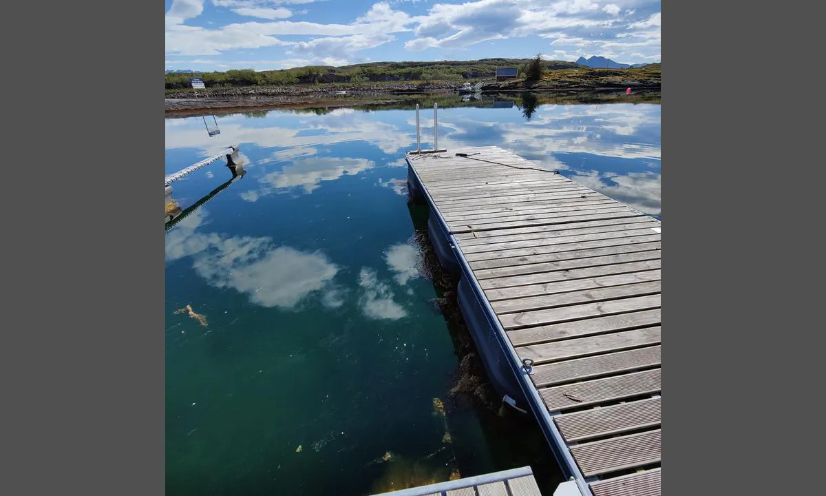 Støtt Havn: {"base": "no", "no": "skarp metallkant p\u00e5 h\u00f8yre side av Sydligste b\u00e5s, v\u00e6r p\u00e5 vakt", "se": "vass metallkant p\u00e5 h\u00f6gra sidan av S\u00f6dra b\u00e5tplatsen, var p\u00e5 vakt", "en": "sharp metal edge on the right side of the southernmost berth, stay alert", "da": "skarpe metalkant p\u00e5 h\u00f8jre side af Sydligste b\u00e5dplads, v\u00e6r p\u00e5 vagt"}