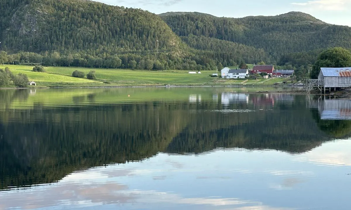 Strandaøyra: {"base": "no", "no": "Langgrunt ankringsplass. Ta hensyn til Flo/fj\u00e6re. Mange trivelige folk og egen pub ca 400 meter fra ankerplass. Puben heter \u00abFj\u00f8sti\u00bb og er \u00e5pen hver l\u00f8rdag fra 18.00 til 24.00. Den er i et fj\u00f8s p\u00e5 Fosen presteg\u00e5rd. Der har de eget microbrggeri. Anbefales!", "se": "Grund ankringsplats. Ta h\u00e4nsyn till flod/ebb. M\u00e5nga trevliga m\u00e4nniskor och egen pub ca 400 meter fr\u00e5n ankringsplatsen. Puben heter \u00abFj\u00f8sti\u00bb och \u00e4r \u00f6ppen varje l\u00f6rdag fr\u00e5n 18.00 till 24.00. Den \u00e4r i en ladug\u00e5rd p\u00e5 Fosen pr\u00e4stg\u00e5rd. D\u00e4r har de ett eget mikrobryggeri. Rekommenderas!", "en": "Shallow anchorage. Be mindful of high/low tide. Many friendly people and a pub approximately 400 meters from the anchorage. The pub is called 'Fj\u00f8sti' and is open every Saturday from 18:00 to 24:00. It is located in a barn at Fosen vicarage. They have their own microbrewery. Recommended!", "da": "Langgrundet ankerplads. Tag hensyn til h\u00f8jvande/lavvande. Mange venlige mennesker og egen pub ca. 400 meter fra ankerpladsen. Pubben hedder \u00abFj\u00f8sti\u00bb og er \u00e5ben hver l\u00f8rdag fra 18.00 til 24.00. Den er i en lade p\u00e5 Fosen pr\u00e6steg\u00e5rd. Der har de deres eget mikrobryggeri. Anbefales!"}