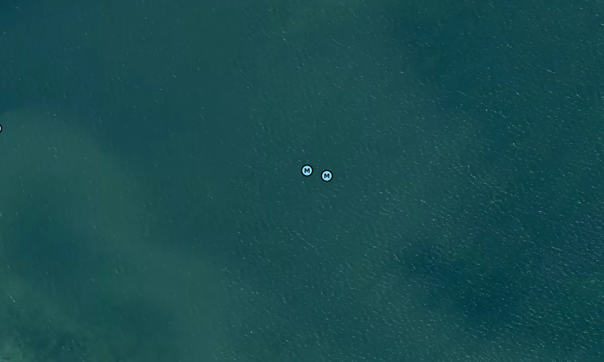 Satelite image of Strandbyen Ærø bouy