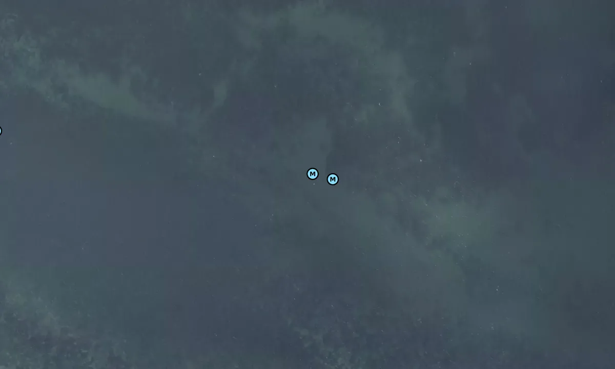 Satelite image of Strandbyen Ærø bouy