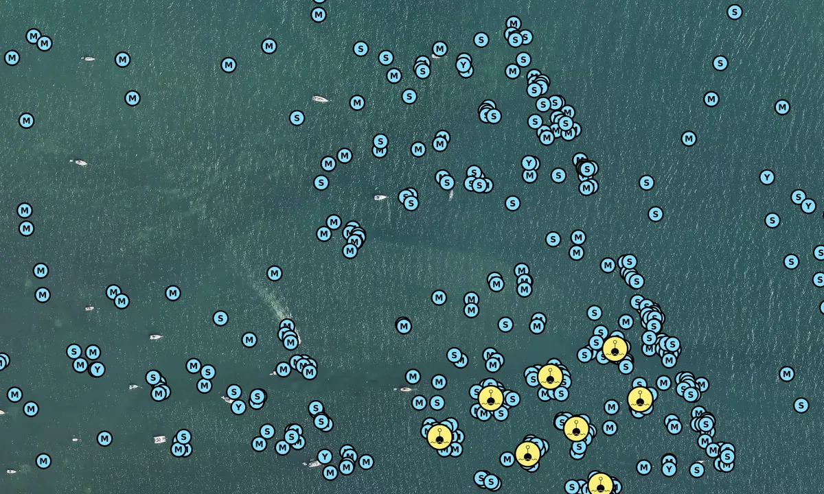 Satelite image of Studland Bay