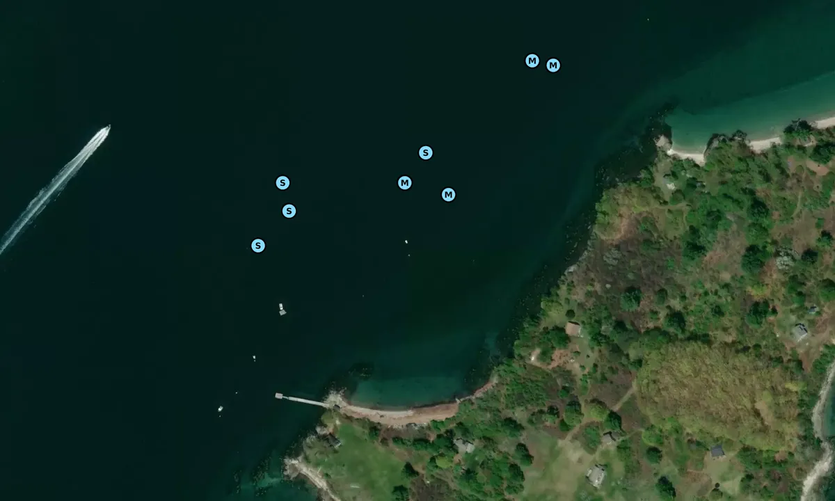 Satelite image of Sturdivant Island