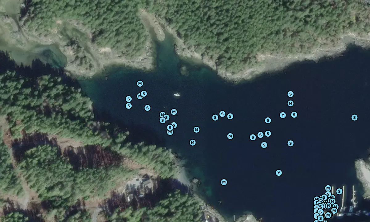 Satelite image of Sturt Bay Anchorage