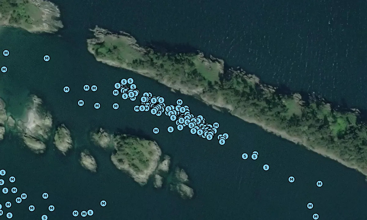 Satelite image of Sucia Island - Ewing Cove