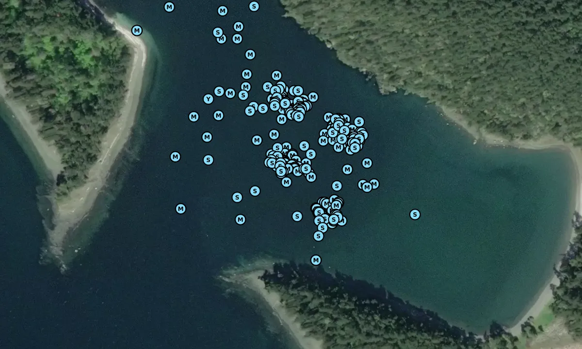 Satelite image of Sucia Island - Fox Cove