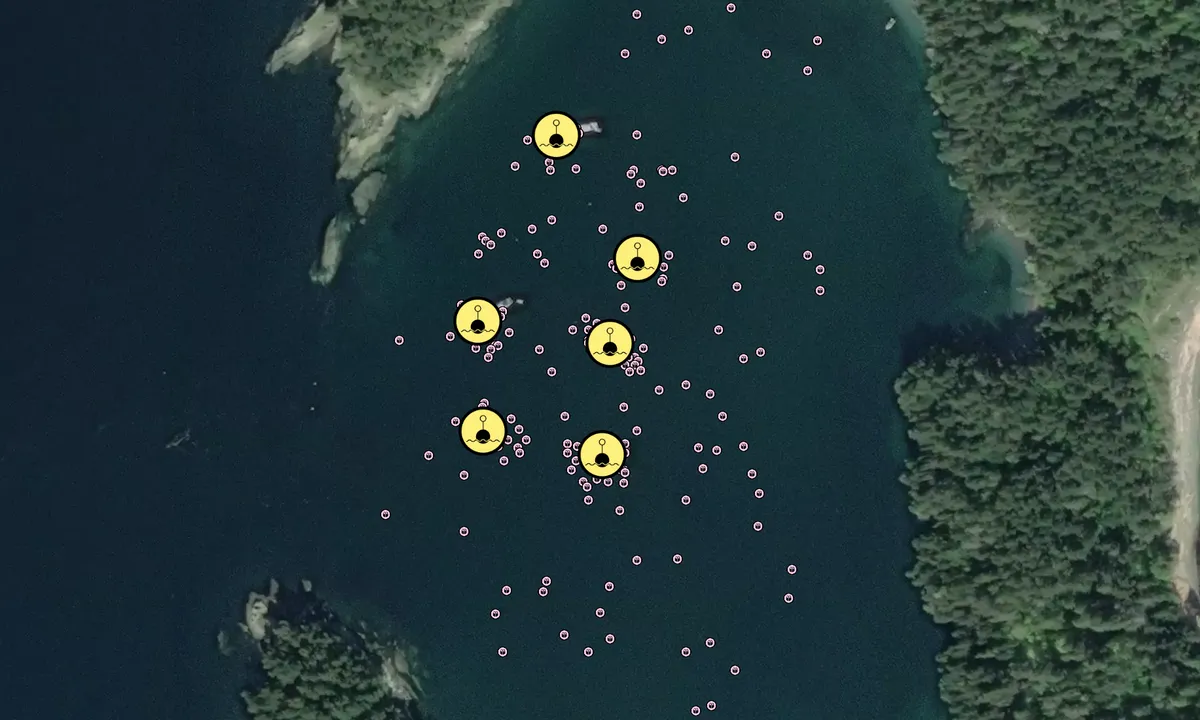 Flyfoto av Sucia Island - Shallow Bay Mooring Field