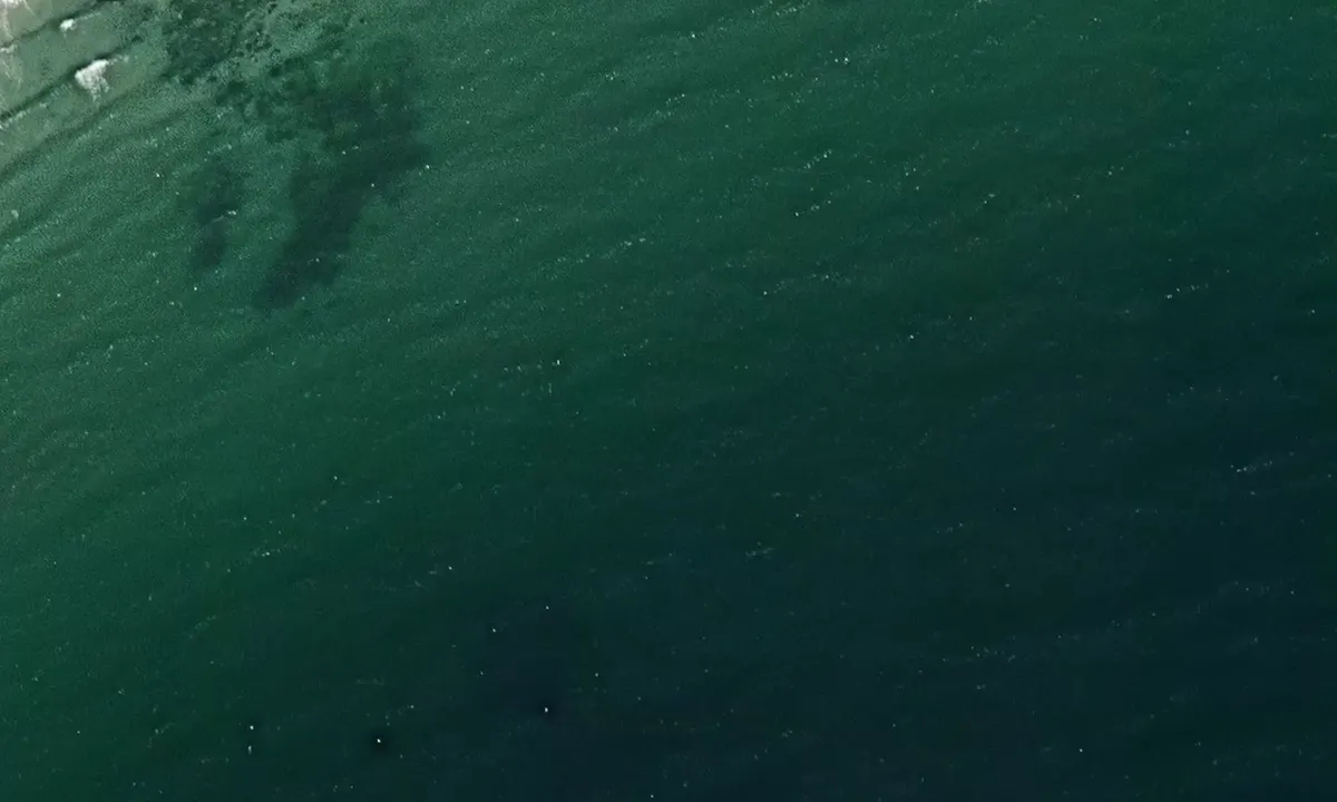 Satelite image of Sudersandsviken