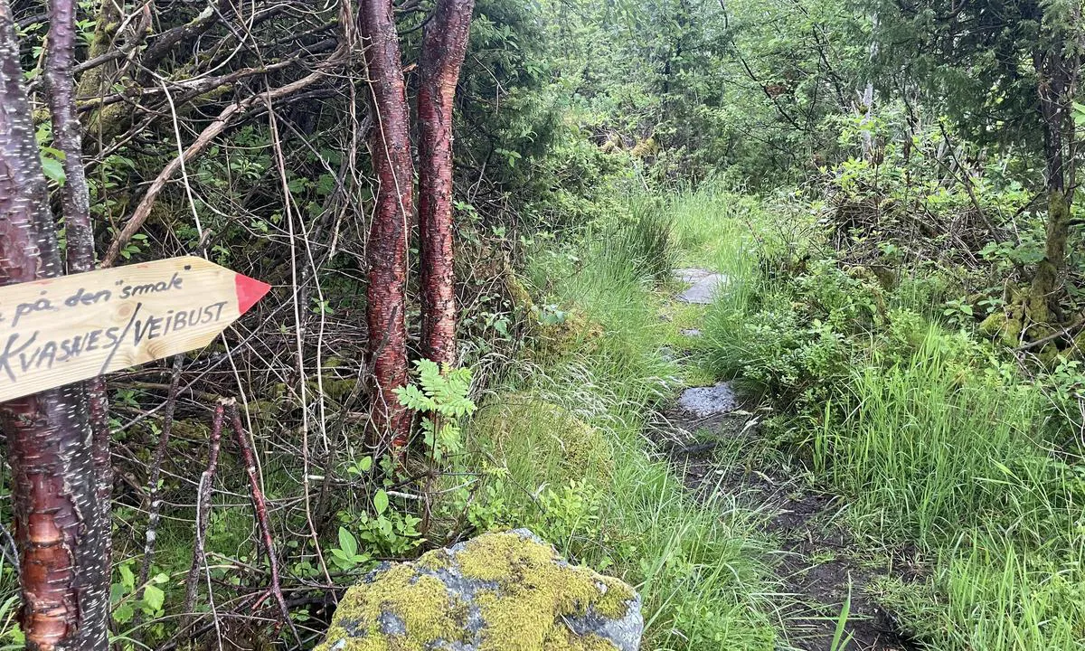 Sunde og Solevåg Småbåthavn: {"base": "en", "no": "Vandretur langs skogen", "se": "Vandra l\u00e4ngs skogarna", "en": "Hike along the woods", "da": "Vandretur langs skovene", "fr": "Randonn\u00e9e le long des bois", "de": "Wandern Sie durch den Wald", "es": "Caminata por el bosque", "it": "Passeggiata lungo i boschi", "pt": "Caminhada pelos bosques", "nl": "Wandel door de bossen", "pl": "W\u0119dr\u00f3wka przez las", "uk": "\u041f\u0440\u043e\u0433\u0443\u043b\u044f\u043d\u043a\u0430 \u0432\u0437\u0434\u043e\u0432\u0436 \u043b\u0456\u0441\u0456\u0432", "ro": "Drume\u021bie prin p\u0103dure", "tr": "Ormanda y\u00fcr\u00fcy\u00fc\u015f yap\u0131n", "el": "\u03a0\u03b5\u03b6\u03bf\u03c0\u03bf\u03c1\u03af\u03b1 \u03c3\u03c4\u03b1 \u03b4\u03ac\u03c3\u03b7", "cs": "V\u00fdlety pod\u00e9l lesa", "hu": "T\u00far\u00e1zz az erd\u0151ben", "fi": "Vaella mets\u00e4n halki", "bg": "\u0420\u0430\u0437\u0445\u043e\u0434\u043a\u0430 \u0438\u0437 \u0433\u043e\u0440\u0438\u0442\u0435", "sr": "Pe\u0161a\u010denje kroz \u0161umu", "et": "Matk l\u00e4bi metsade", "lv": "P\u0101rg\u0101jiens gar me\u017eu", "lt": "\u017dygis per mi\u0161kus"}