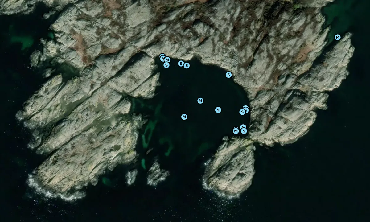 Satelite image of Sunna holme