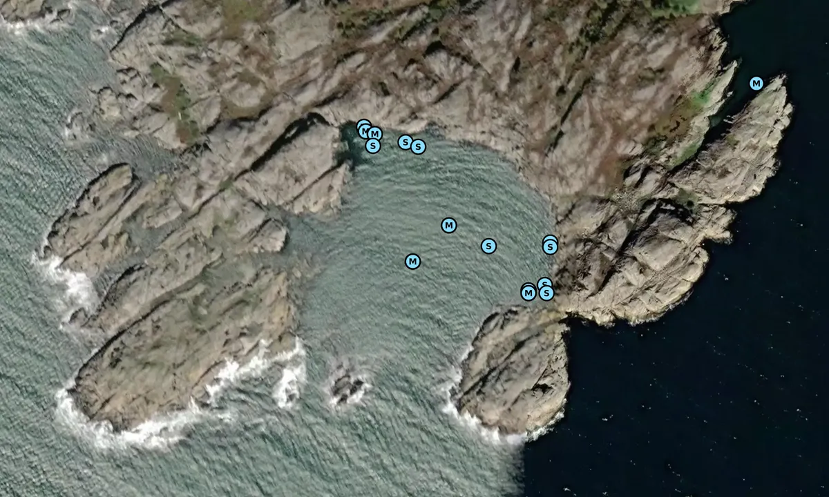 Satelite image of Sunna holme