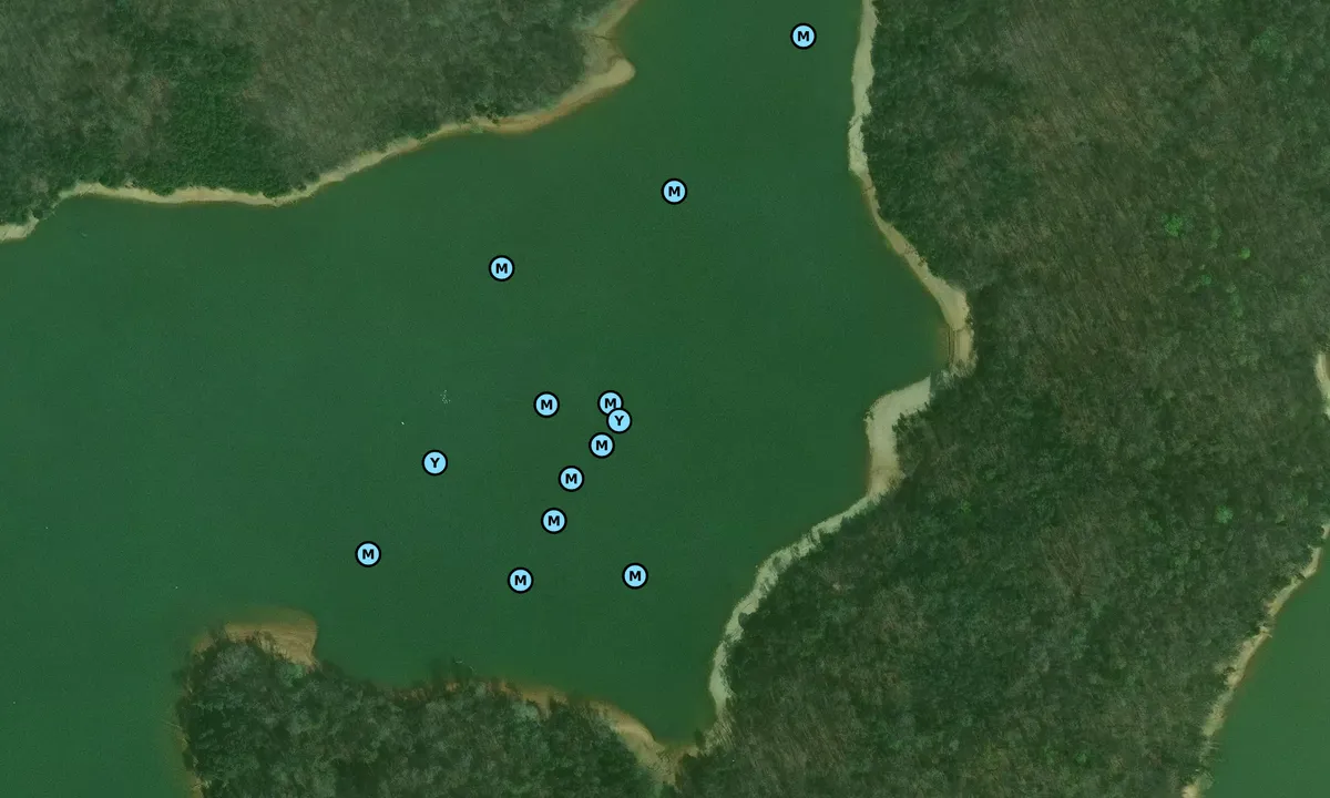 Satelite image of Sunset Cove 2