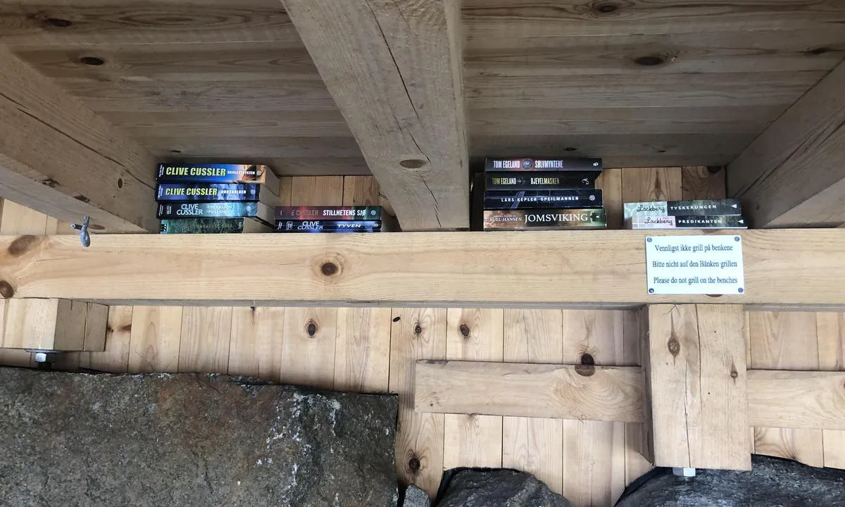 Sutnøy: {"base": "no", "no": "I gapahuken finnes det en bokbyttehylle. Om du ikke kan bytte, s\u00e5 ta en allikevel. :-)", "se": "I vindskyddet finns det en bokbytesshylla. Om du inte kan byta, s\u00e5 ta en \u00e4nd\u00e5. :-)", "en": "In the shelter, there is a book exchange shelf. If you cannot exchange, feel free to take one anyway. :-)", "da": "I shelteret findes der en bogbyttehylde. Hvis du ikke kan bytte, s\u00e5 tag en alligevel. :-)"}