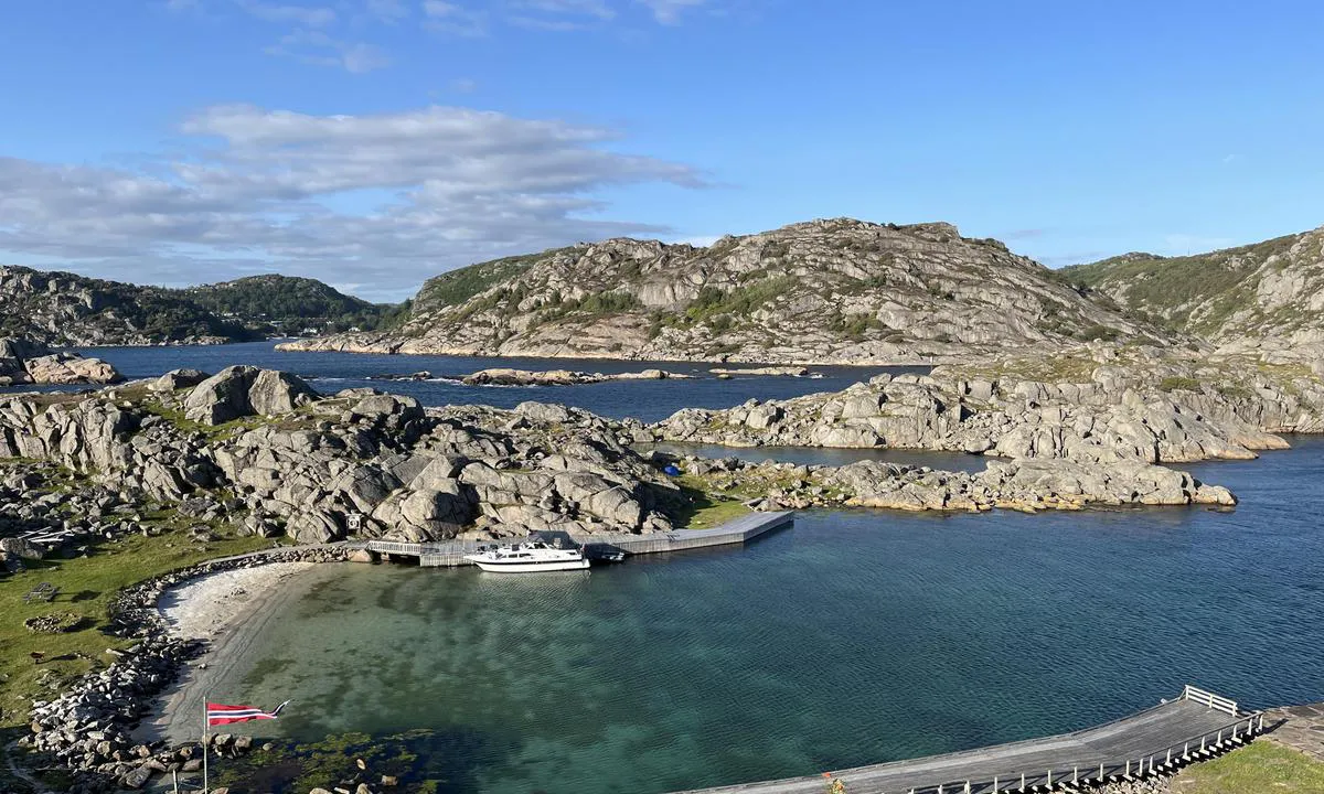 Sutnøy