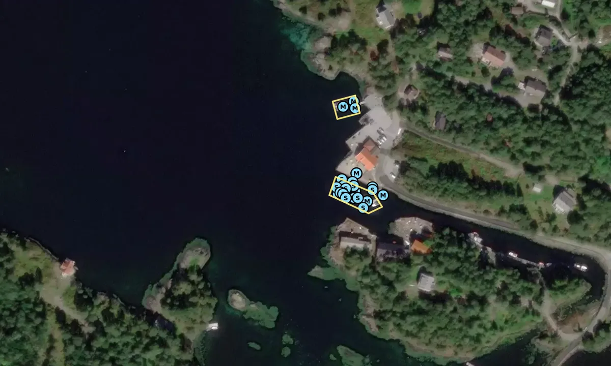 Satelite image of Svanøybukt