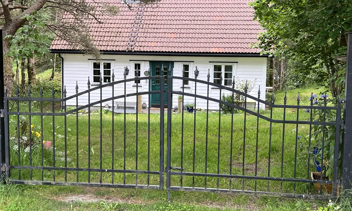 Svanøybukt: Many well kept and nice houses on the island.