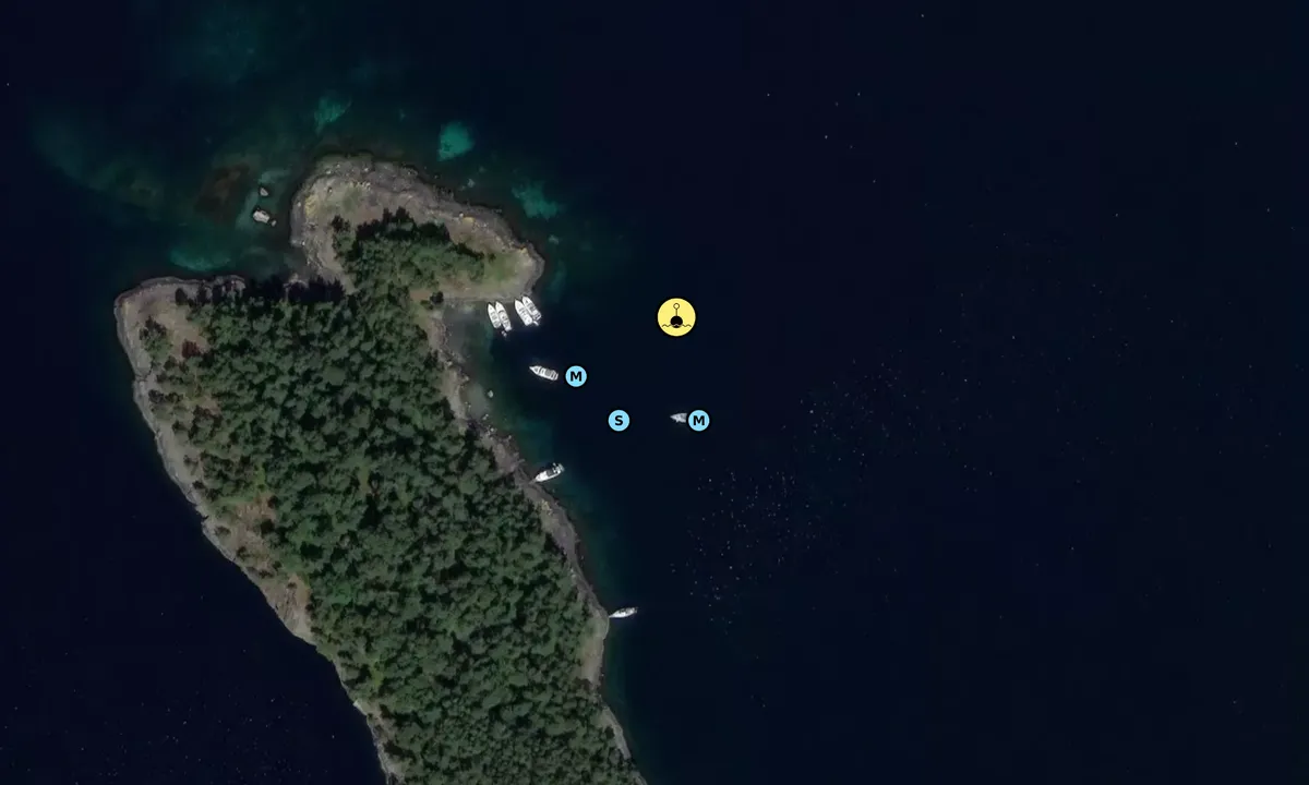 Flyfoto av Svansholmen - Randøy Hjelmeland