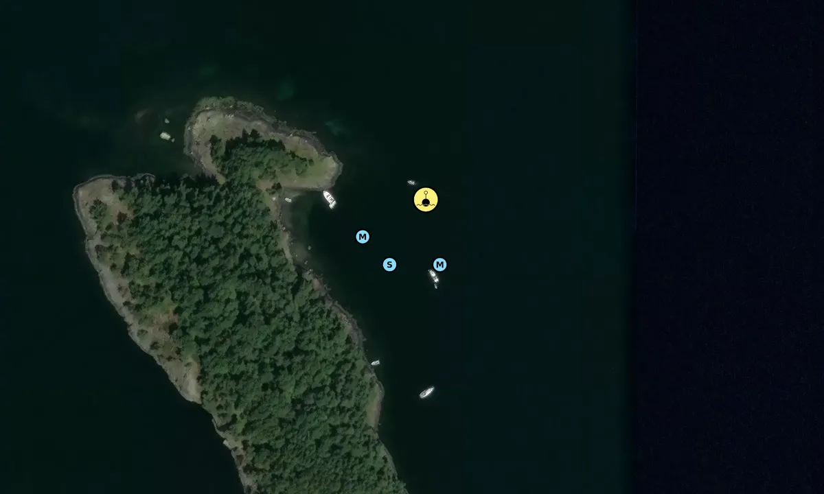 Satelite image of Svansholmen - Randøy Hjelmeland