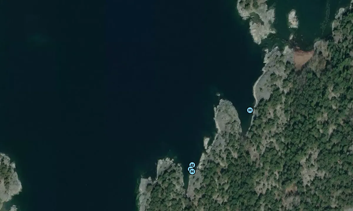 Satelite image of Svartskäret