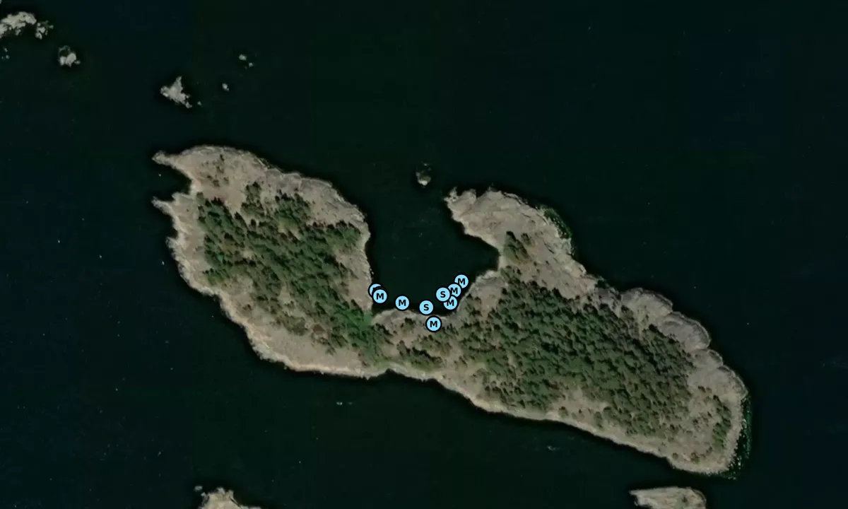 Satelite image of Svartskogsskär