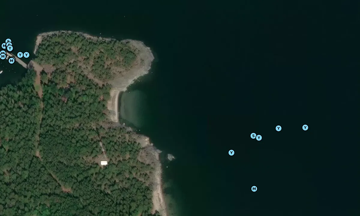 Satelite image of Svartviken