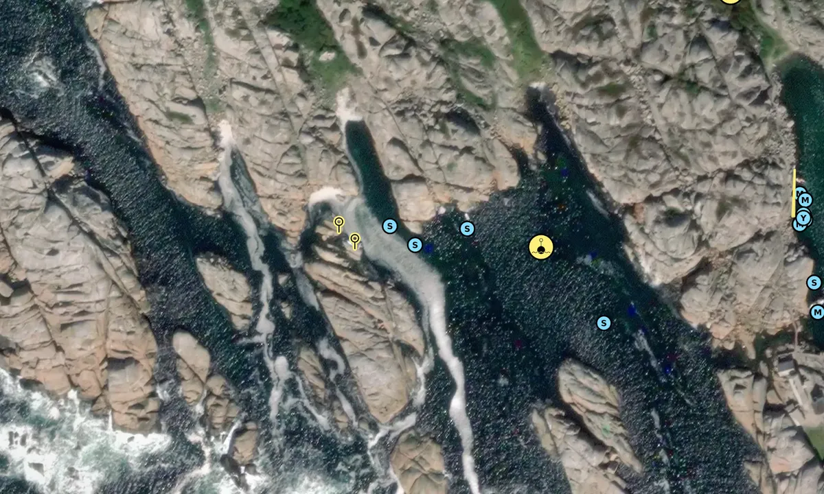 Satelite image of Svenner/Rørvika