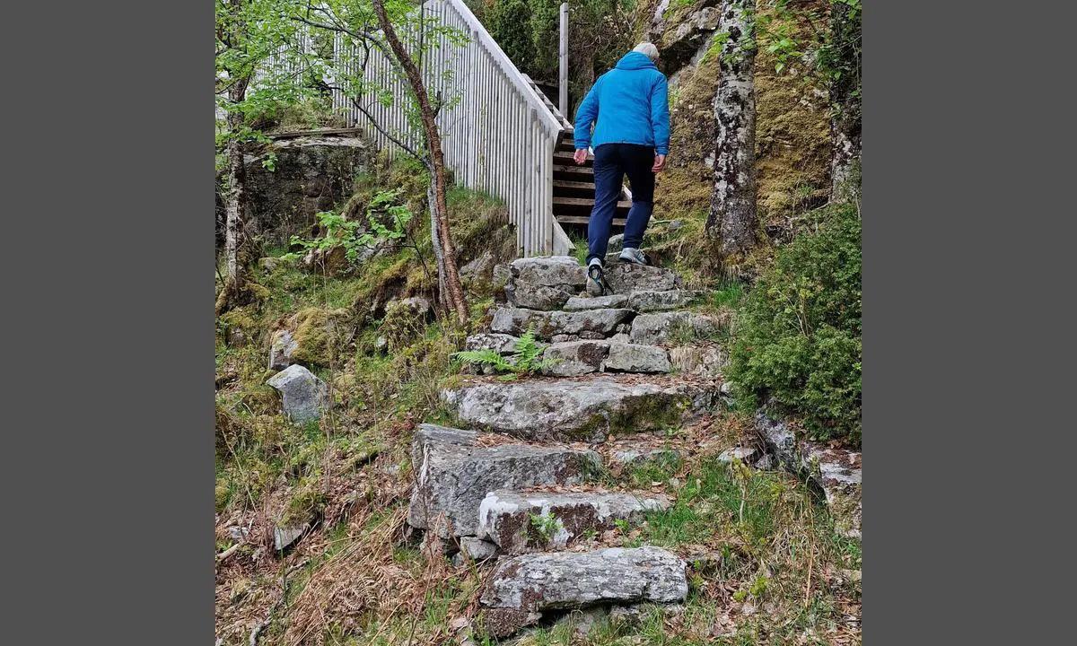 Svinøya friluftsområde - sør: {"base": "no", "no": "Tursti over til den vestlige b\u00e5tplassen, samt grillplassen midt p\u00e5 \u00f8ya.", "se": "Vandringsled \u00f6ver till den v\u00e4stra b\u00e5tplatsen, samt grillplatsen mitt p\u00e5 \u00f6n.", "en": "Hiking trail over to the western boat dock, as well as the grill area in the middle of the island.", "da": "Sti over til den vestlige b\u00e5dplads, samt grillpladsen midt p\u00e5 \u00f8en."}