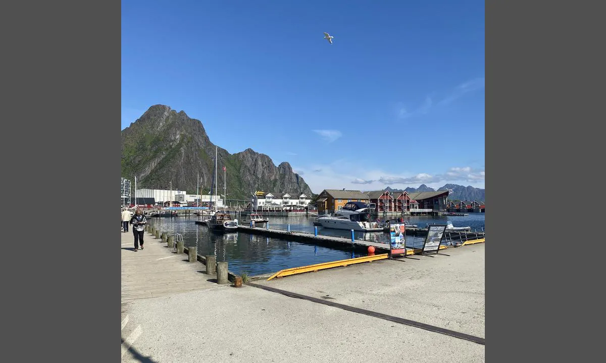 Svolvær Gjestehavn