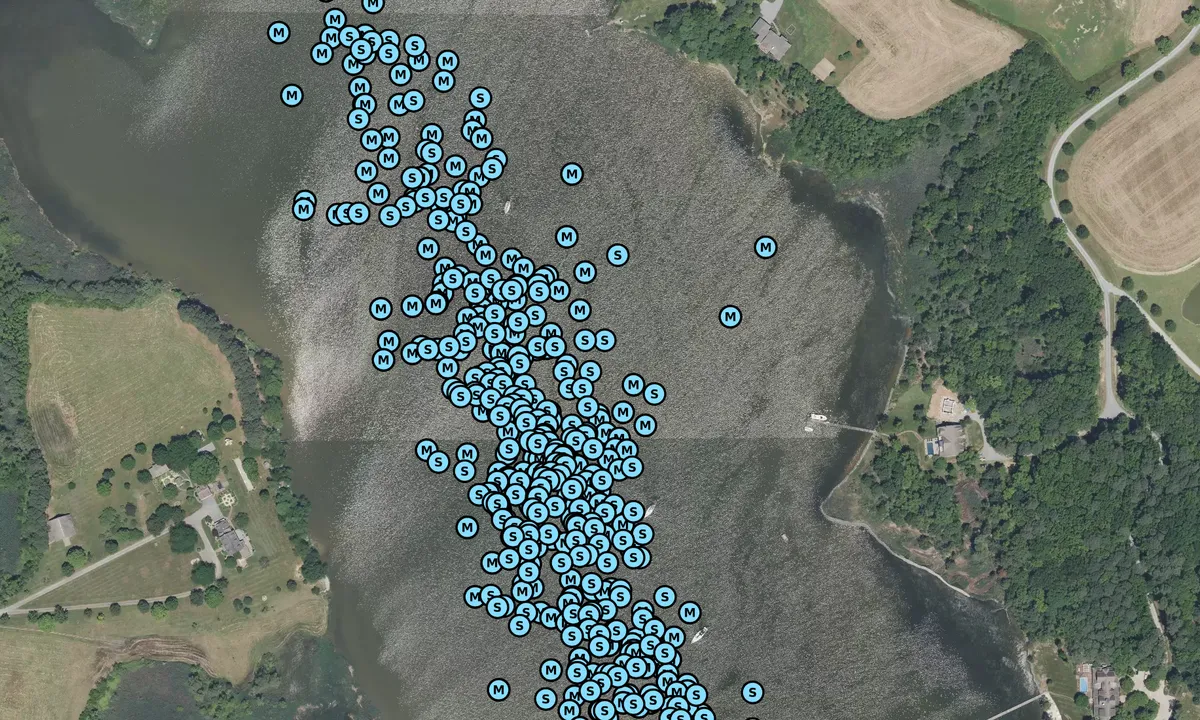 Satelite image of Swan Creek North Branch