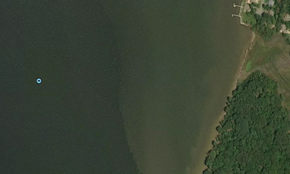 Satelite image of Swan Point
