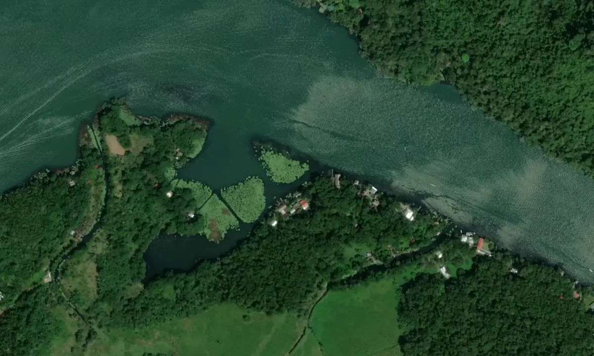 Satelite image of Sylvia's Store