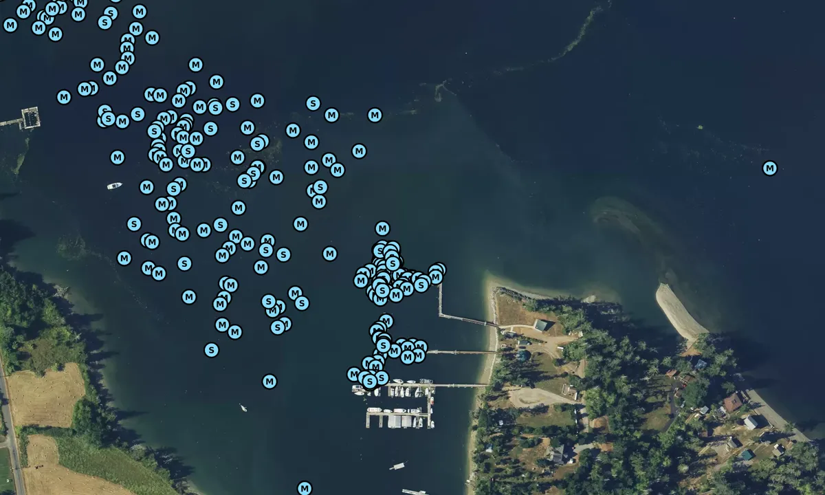 Satelite image of Tacoma Yacht Club - Oro Bay Outstation