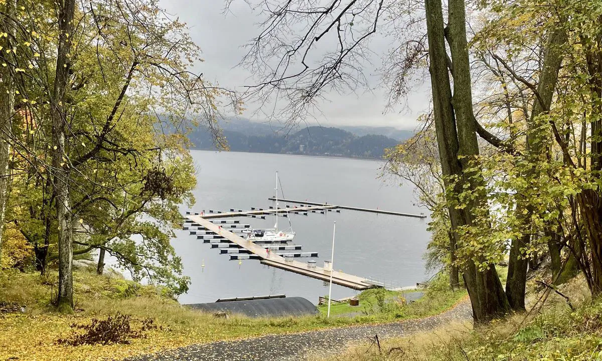 Tåjebukta - Håøya: {"base": "no", "no": "God plass utenom sesong", "se": "Gott om plats utanf\u00f6r s\u00e4song", "en": "Ample space off-season", "da": "God plads uden for s\u00e6sonen", "fr": "Beaucoup de place hors saison", "de": "Viel Platz au\u00dferhalb der Saison", "es": "Buena disponibilidad fuera de temporada", "it": "Ampio spazio fuori stagione", "pt": "Bom espa\u00e7o fora da temporada", "nl": "Goede ruimte buiten het seizoen", "pl": "Du\u017co miejsca poza sezonem", "uk": "\u0411\u0430\u0433\u0430\u0442\u043e \u043c\u0456\u0441\u0446\u044f \u043f\u043e\u0437\u0430 \u0441\u0435\u0437\u043e\u043d\u043e\u043c", "ro": "Spa\u021biu generos \u00een afara sezonului", "tr": "Sezon d\u0131\u015f\u0131nda geni\u015f alan mevcut", "el": "\u0386\u03c6\u03b8\u03bf\u03bd\u03bf\u03c2 \u03c7\u03ce\u03c1\u03bf\u03c2 \u03b5\u03ba\u03c4\u03cc\u03c2 \u03c3\u03b5\u03b6\u03cc\u03bd", "cs": "Dostatek m\u00edsta mimo sez\u00f3nu", "hu": "J\u00f3 hely szezonon k\u00edv\u00fcl", "fi": "Hyvin tilaa sesongin ulkopuolella", "bg": "\u0414\u043e\u0431\u0440\u043e \u043c\u044f\u0441\u0442\u043e \u0438\u0437\u0432\u044a\u043d \u0441\u0435\u0437\u043e\u043d\u0430", "sr": "\u0414\u043e\u0441\u0442\u0430 \u043f\u0440\u043e\u0441\u0442\u043e\u0440\u0430 \u0432\u0430\u043d \u0441\u0435\u0437\u043e\u043d\u0435", "et": "Hea koht hooajav\u00e4liselt", "lv": "Laba vieta \u0101rpus sezona", "lt": "Gera vieta ne sezono metu"}