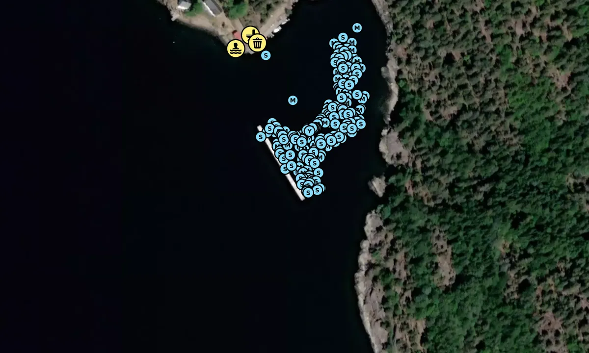 Satelite image of Tåjebukta - Håøya
