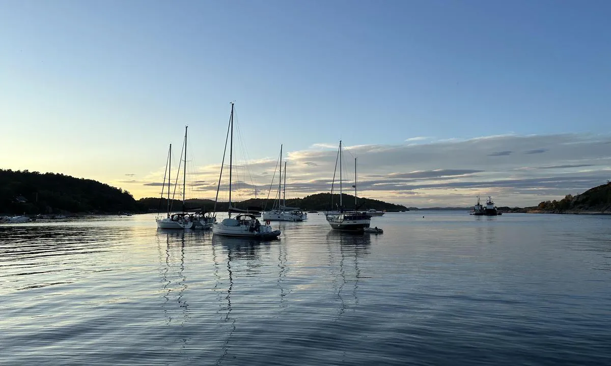 Tallakshavn: Bildet tatt innerst, relativt langt syd i bukta.