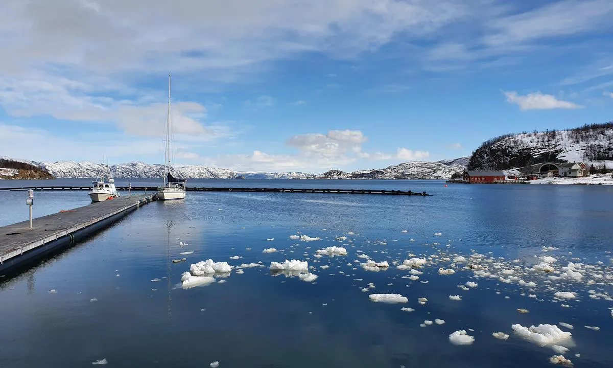 Talvik Båtforening