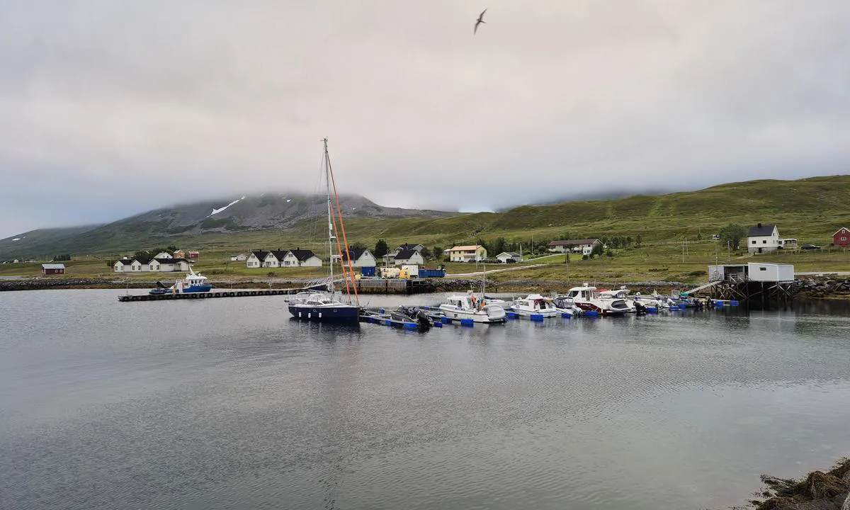 Tareneset: {"base": "no", "no": "Plass ytterst p\u00e5 flytebrygge. Maks st\u00f8rrelse 40 fot. Ringer til feste.", "se": "Plats ytterst p\u00e5 flytbrygga. Max storlek 40 fot. Ringar f\u00f6r f\u00e4ste.", "en": "Space at the outer end of the floating dock. Maximum size 40 feet. Rings for securing.", "da": "Plads yderst p\u00e5 flydebro. Maksimal st\u00f8rrelse 40 fod. Ringe til fort\u00f8jning.", "fr": "Emplacement \u00e0 l'extr\u00e9mit\u00e9 du ponton flottant. Taille maximale 40 pieds. Anneaux pour fixation.", "de": "Platz ganz au\u00dfen am Schwimmsteg. Maximale Gr\u00f6\u00dfe 40 Fu\u00df. Befestigungsringe.", "es": "Lugar en el extremo del muelle flotante. Tama\u00f1o m\u00e1ximo 40 pies. Anillas para amarre.", "it": "Posto all'estremit\u00e0 del molo galleggiante. Dimensione massima 40 piedi. Anelli per ormeggio.", "pt": "Lugar na extremidade do cais flutuante. Tamanho m\u00e1ximo 40 p\u00e9s. Argolas para amarra\u00e7\u00e3o.", "nl": "Plaats aan de uiteinden van de drijvende steiger. Max grootte 40 voet. Ringen om vast te maken.", "pl": "Miejsce na ko\u0144cu p\u0142ywaj\u0105cego pomostu. Maksymalna wielko\u015b\u0107 40 st\u00f3p. Pier\u015bcienie do mocowania.", "uk": "\u041c\u0456\u0441\u0446\u0435 \u043d\u0430 \u0437\u043e\u0432\u043d\u0456\u0448\u043d\u044c\u043e\u043c\u0443 \u043a\u0456\u043d\u0446\u0456 \u043f\u043b\u0430\u0432\u0443\u0447\u043e\u0433\u043e \u043f\u0440\u0438\u0447\u0430\u043b\u0443. \u041c\u0430\u043a\u0441\u0438\u043c\u0430\u043b\u044c\u043d\u0438\u0439 \u0440\u043e\u0437\u043c\u0456\u0440 40 \u0444\u0443\u0442\u0456\u0432. \u041a\u0456\u043b\u044c\u0446\u044f \u0434\u043b\u044f \u043a\u0440\u0456\u043f\u043b\u0435\u043d\u043d\u044f.", "ro": "Loc \u00een cap\u0103tul din exterior al pontonului plutitor. Dimensiunea maxim\u0103 40 de picioare. Inele pentru fixare.", "tr": "Pontondan olduk\u00e7a uzakta yer. Maksimum boyut 40 feet. Sabitlemek i\u00e7in halkalar.", "el": "\u0398\u03ad\u03c3\u03b7 \u03c3\u03c4\u03b7\u03bd \u03ac\u03ba\u03c1\u03b7 \u03c4\u03b7\u03c2 \u03c0\u03bb\u03c9\u03c4\u03ae\u03c2 \u03c0\u03c1\u03bf\u03b2\u03bb\u03ae\u03c4\u03b1\u03c2. \u039c\u03ad\u03b3\u03b9\u03c3\u03c4\u03bf \u03bc\u03ad\u03b3\u03b5\u03b8\u03bf\u03c2 40 \u03c0\u03cc\u03b4\u03b9\u03b1. \u0394\u03b1\u03c7\u03c4\u03c5\u03bb\u03af\u03b4\u03b9\u03b1 \u03b3\u03b9\u03b1 \u03b4\u03ad\u03c3\u03b9\u03bc\u03bf.", "cs": "M\u00edsto na konci plovouc\u00edho mola. Maxim\u00e1ln\u00ed d\u00e9lka 40 stop. Krou\u017eky k uv\u00e1z\u00e1n\u00ed lodi.", "hu": "Hely t\u00e1vol a merev m\u00f3l\u00f3 v\u00e9g\u00e9n. Maxim\u00e1lis m\u00e9ret 40 l\u00e1b. R\u00f6gz\u00edt\u0151karik\u00e1k rendelkez\u00e9sre \u00e1llnak.", "fi": "Paikka uloimmalla kelluvalla laiturilla. Maksimikoko 40 jalkaa. Kiinnitysrengas.", "bg": "\u041c\u044f\u0441\u0442\u043e \u043d\u0430\u0439-\u043e\u0442\u0432\u044a\u043d \u043d\u0430 \u043f\u043b\u0430\u0432\u0430\u0449\u0430\u0442\u0430 \u043a\u0435\u0439. \u041c\u0430\u043a\u0441\u0438\u043c\u0430\u043b\u0435\u043d \u0440\u0430\u0437\u043c\u0435\u0440 40 \u0444\u0443\u0442\u0430. \u041f\u0440\u044a\u0441\u0442\u0435\u043d\u0438 \u0437\u0430 \u0437\u0430\u043a\u0440\u0435\u043f\u0432\u0430\u043d\u0435.", "sr": "Mesto na kraju plutaju\u0107eg pontona. Maksimalna veli\u010dina 40 stopa. Prstenovi za pri\u010dvr\u0161\u0107ivanje.", "et": "Koht ujuvkai \u00e4\u00e4res. Maksimaalne suurus 40 jalga. Kinnitusr\u00f5ngad.", "lv": "Vieta pa\u0161\u0101 peldo\u0161\u0101s piest\u0101tnes gal\u0101. Maksim\u0101lais izm\u0113rs 40 p\u0113das. Gredzeni piestiprin\u0101\u0161anai.", "lt": "Vieta prie galin\u0117s pl\u016bdur\u0173 prieplaukos. Did\u017eiausias dydis 40 p\u0117d\u0173. \u017diedai tvirtinimui."}