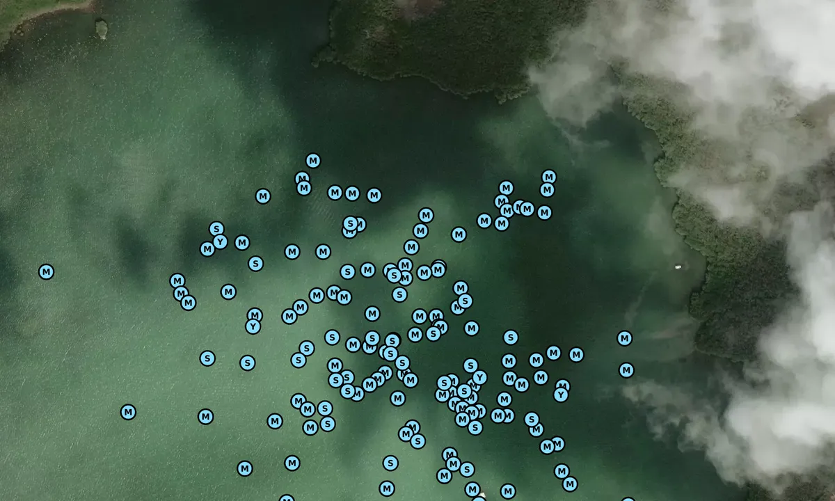 Satelite image of Tarpon Basin (north)