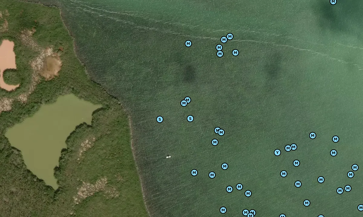 Satelite image of Tarpon Basin (west)