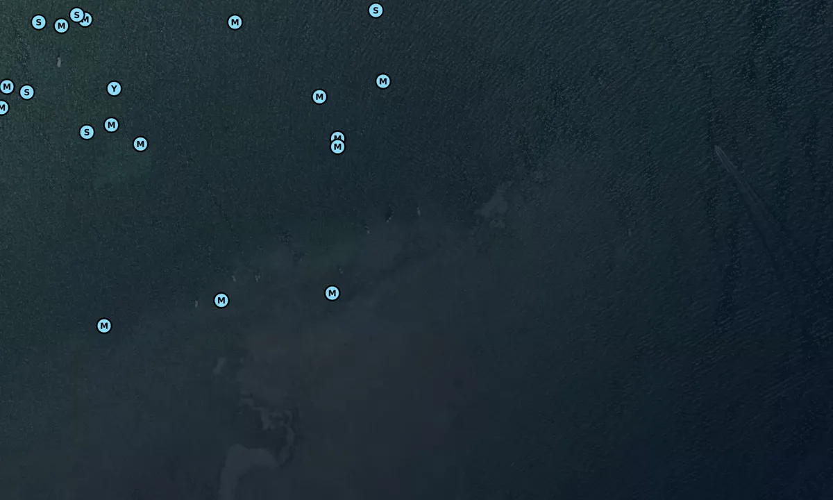 Satelite image of Tavernier Key (day use sandbar)