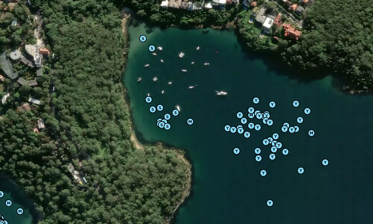 Satelite image of Taylor's Bay