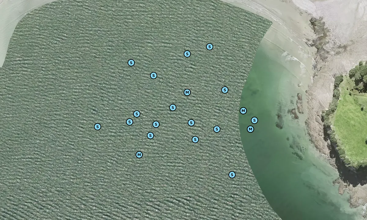 Satelite image of Te Harui Bay