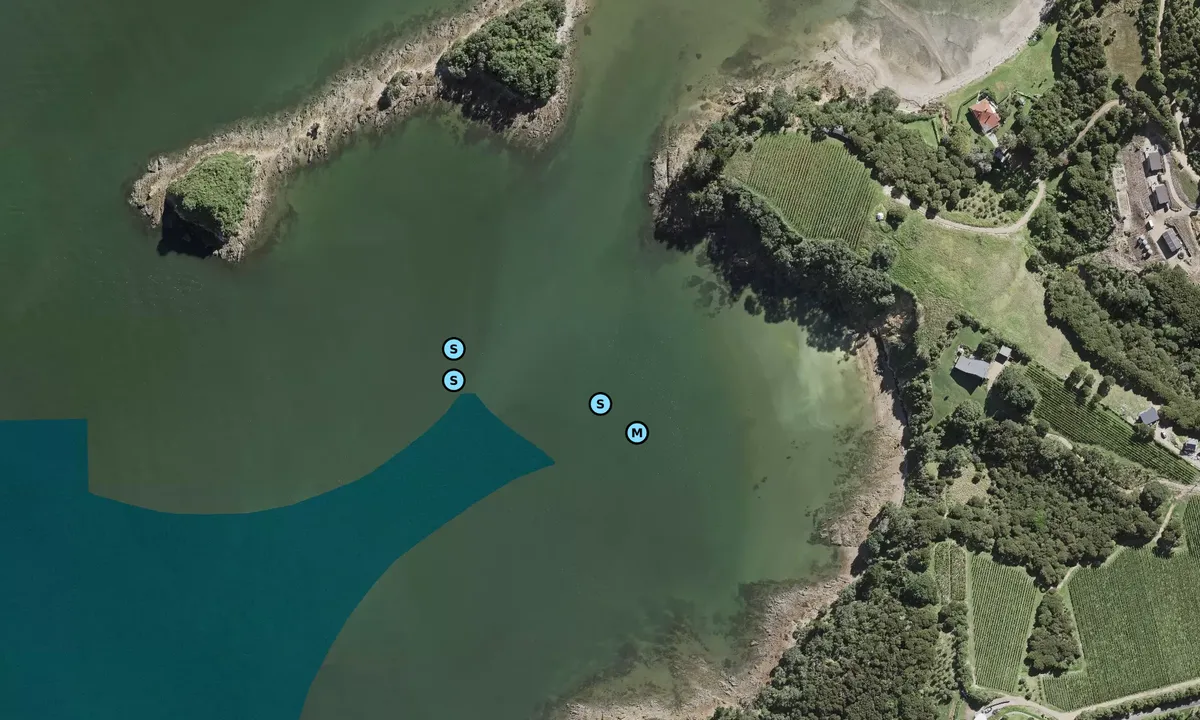 Satelite image of Te Whau Bay