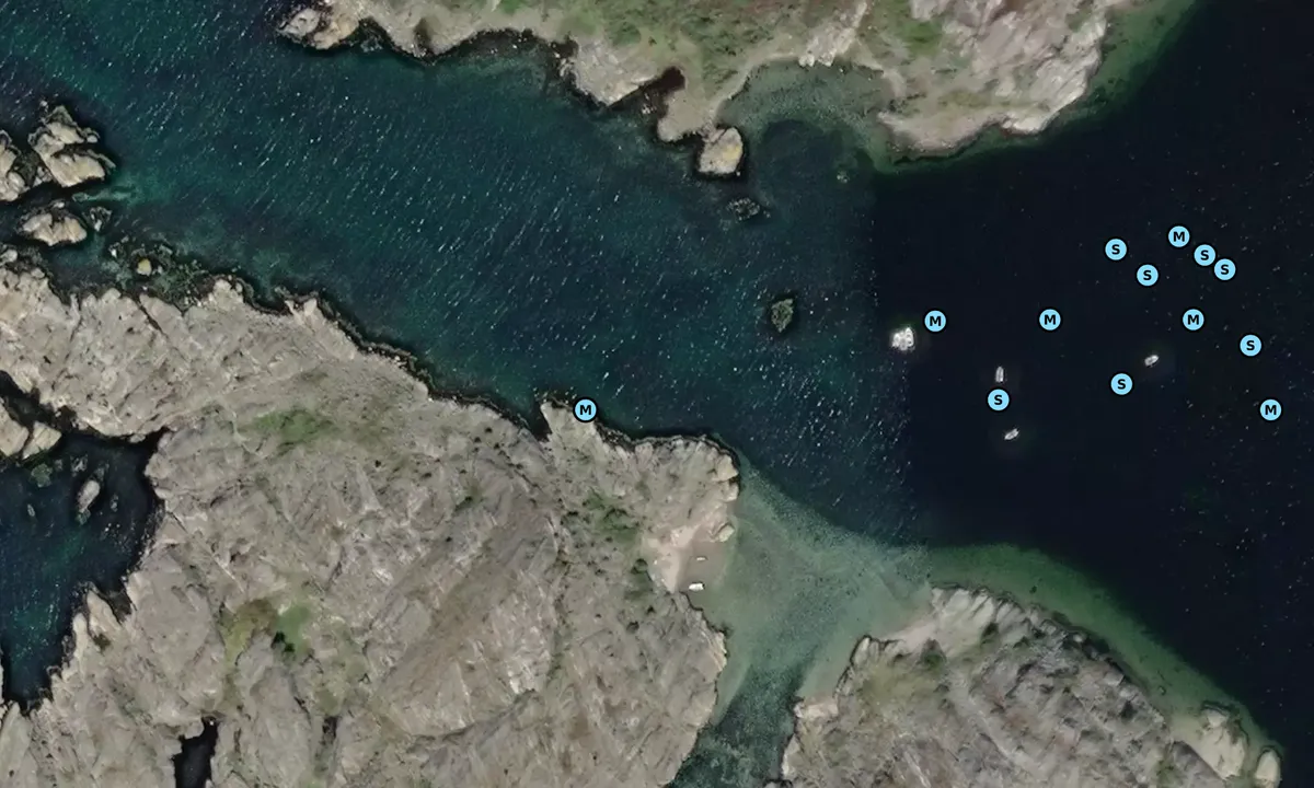 Satelite image of Tenholmar Nord