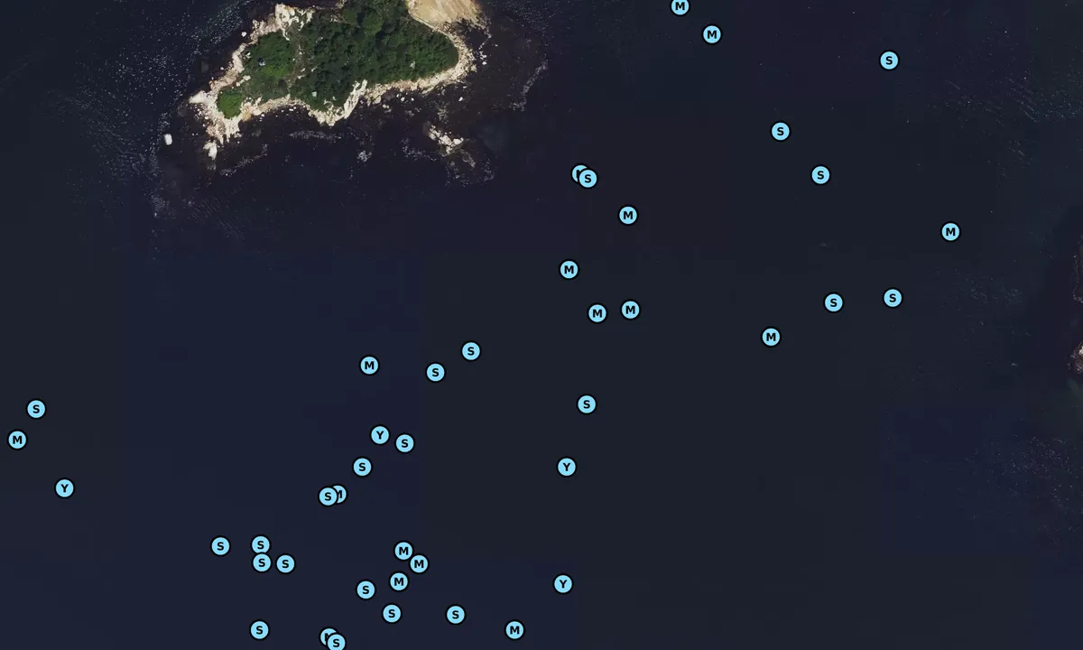 Satelite image of Tenpound Island South