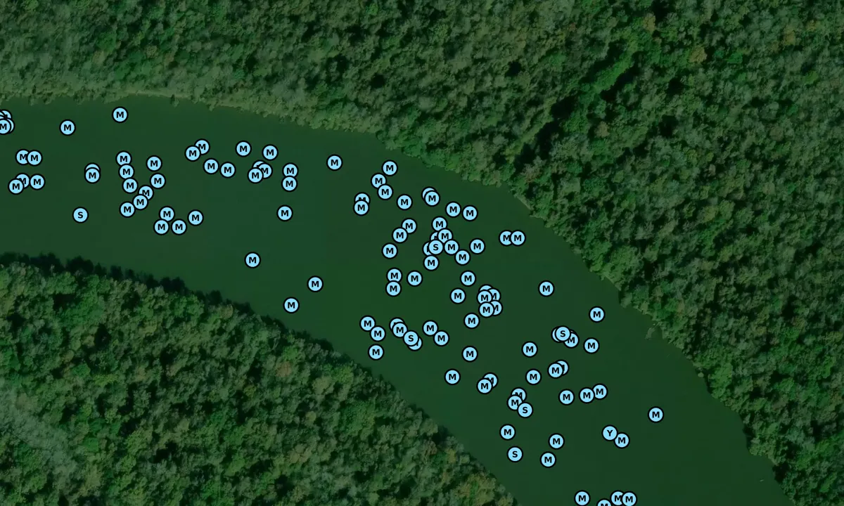 Satelite image of Tensaw River