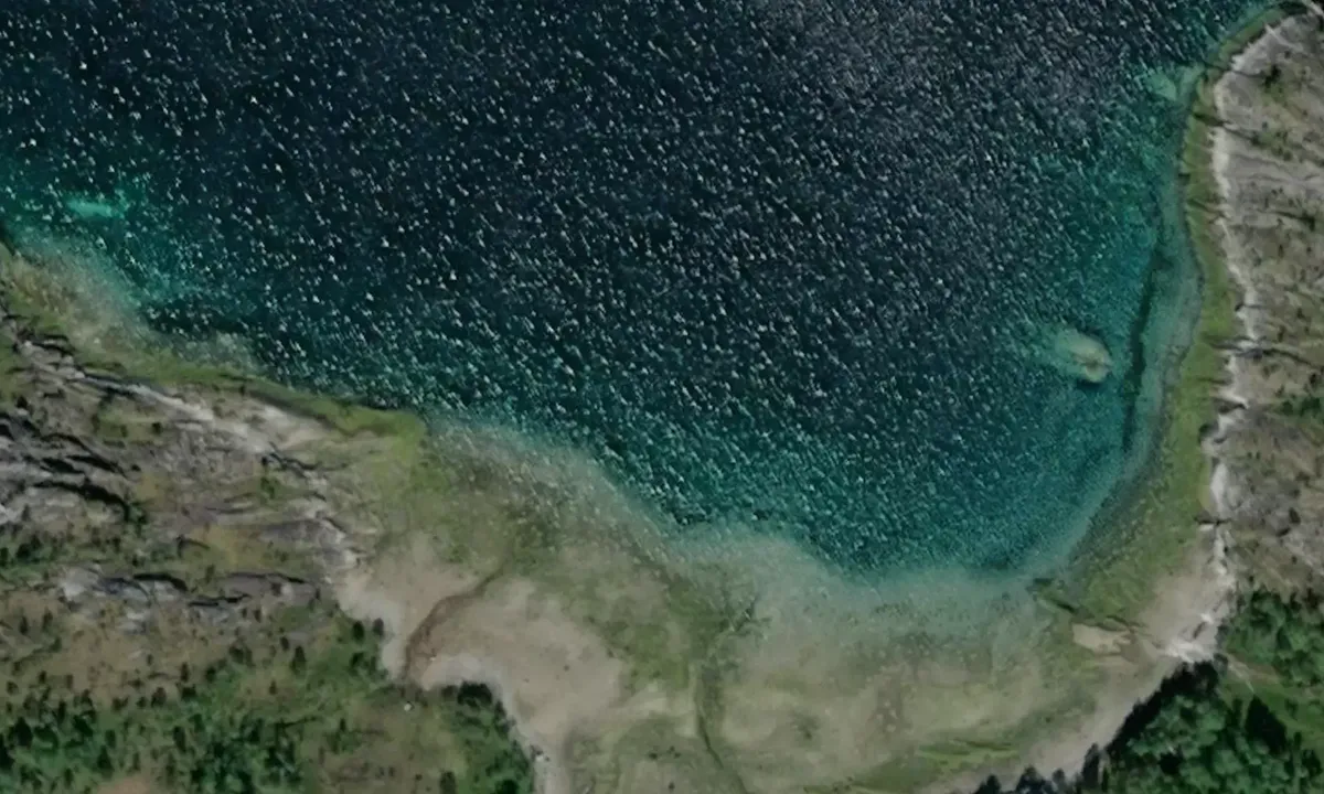 Satelite image of Teppkilen