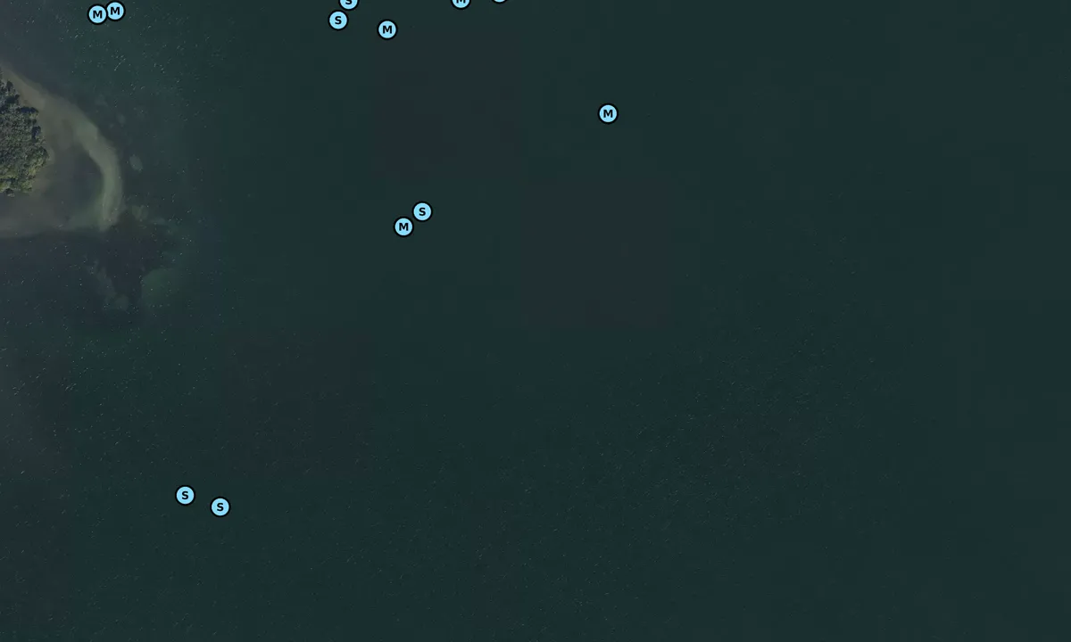 Satelite image of Terra Ceia Bay
